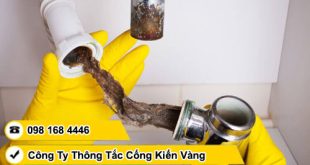 Thông cống nghẹt Phường Gia Định